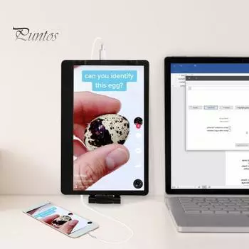 Телефон Ноутбук Экранный Расширитель Совместимость с HD Входы Стерео Звук Компактный Дизайн Универсальный Портативный Двойной Монитор чёрный