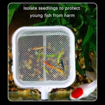 Телескопическая ручная рыболовная сеть из нержавеющей стали, аксессуары для аквариума, аксессуары для ловли рыбы, креветок, чистящие аксессуары чёрный