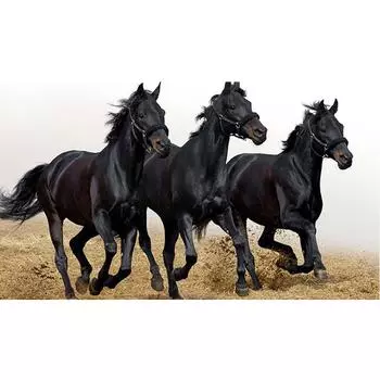 Dark Horse 5D Diamond Craft Painting Diy Diamond Вышивка Diamond Kits Wall Art Decor 20X30CM