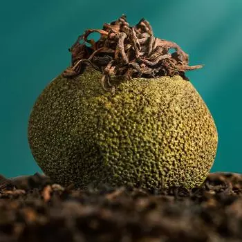 Темный чай №111 Зеленый мандарин и апельсин Пуэр созревший чай 50г