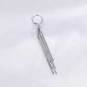 Темперамент Легкий Роскошный Длинный Цепь Серьги-пряжки Темперамент Простые Серьги с бахромой из змеиной кости Женщины Показать Лицо Тонкий Earline copper