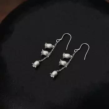 Темпераментный ландыш с бахромой серьги-крючки высокого класса Темпераментный новый китайский дизайн с кисточками