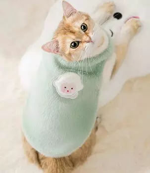 Tengcong Cat Dog Dog Two Small and Medium Dog Pet Cat Costume Clothing, Costume, Clothes, Spring, Autumn, Winter, Warm, Legs, Cute, Stylish, Clothes,
