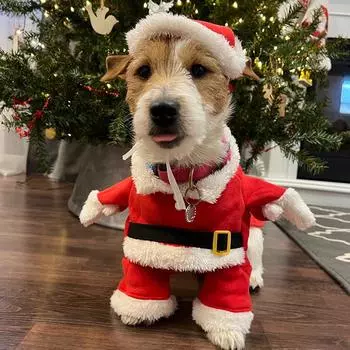 Теплая одежда для собак, забавные костюмы для косплея щенков, рождественские костюмы для маленьких собак, наряды для кошек на Новый год, куртка для домашних животных в йоркширском стиле для чихуахуа XS красный