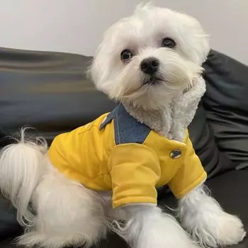 Теплые парки для собак и кошек в осенне-зимнем стиле для маленьких и средних собак, плюшевый мишка, плюшевый мишка, одежда для шнауцеров, щенков XS