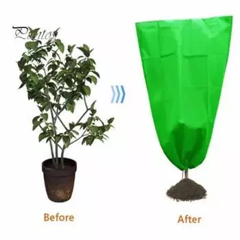 Теплый чехол для растений, защита сада от заморозков, многоразовый зимний чехол с завязкой для уличных растений, деревьев, кустарников M зелёный