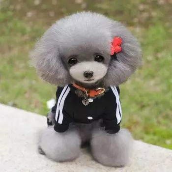 Теплый комбинезон для собак,XS-XXL XS чёрный