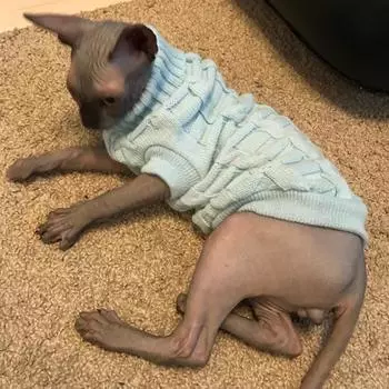 Теплый вязаный свитер для щенка, зимняя одежда для собак, костюм, мягкая одежда M зелёный