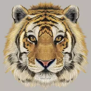 Термонаклейки, термонаклейки на одежду, голова тигра, термопресс, виниловые толстовки, топы, сделай сам, моющиеся аппликации на одежде 7x6.7 cm