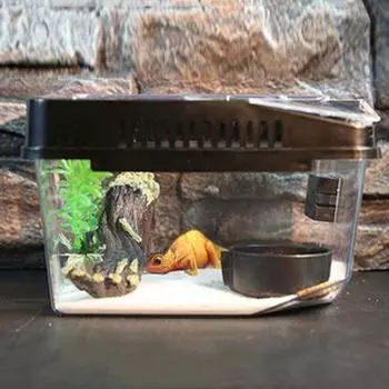 Террариум с защитой от побега рептилий, пластиковый контейнер для рептилий, прочный контейнер для выращивания ящериц для улиток, гекконов, тарантулов чёрный
