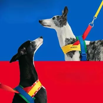 Terylene Pets Dog Chest Harness Traction Rope Set Walking Dogs Leash Rope Large Size Adjustable Harnesses Pet Products XS красный