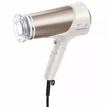 TESCOM Hair Dryer Protect Ion Cold Air Overseas Compatible with C Type Conversion Plug, Automatic Voltage Switching Type Easy Plug, Made in Japan, W
