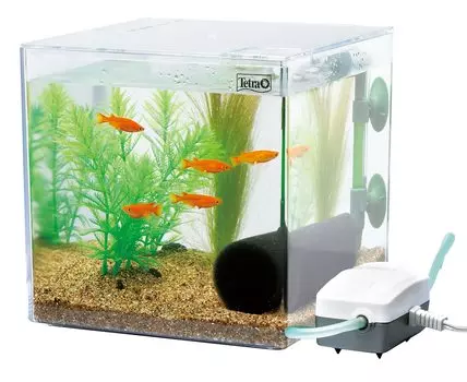 Tetra Aquarium вырастить медаку Аквариум Давайте PL-17KB
