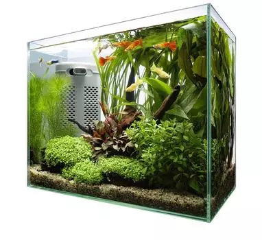 Tetra Silent Flex Set 30 Стеклянный аквариум для рыбок Тропические рыбы Медака Золотая рыбка Другие рыбы
