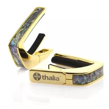 Thalia Capos Exotic Shell ABALONE Capotast guitar с 12-дюймовым fred pad Series/DRAGON (24К ЗОЛОТО/ДРАКОНЬЕ МЕЧКО)