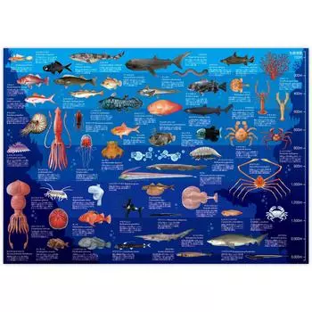 The Access Poster Deep Sea Encyclopedia A1 Animal Aquarium