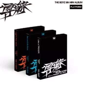 THE BOYZ - мини 9th (Платформа вер.) Случайный - **Предзаказ** дата выпуска 2024.10.29 0