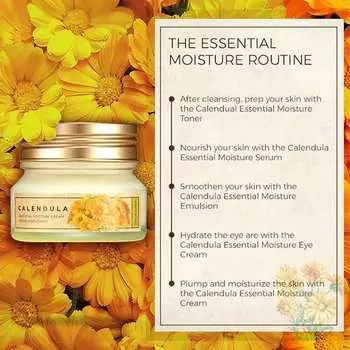 THE FACE SHOP Calendula Essential Moisture Eye Cream 20ml