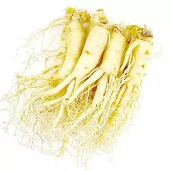 The Good Ginseng 6-летний женьшень свежий женьшень Geumsan женьшень сырой женьшень 1-го сорта настоящий, промытый женьшень большой 500 г..., 1 шт.
