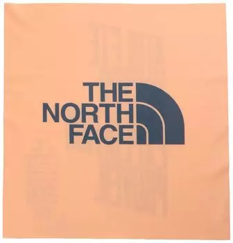 The North Face Gypsy Cover It Short and Peach Free Size Mask, Wristband, Hairband, Unisex, Granite,
