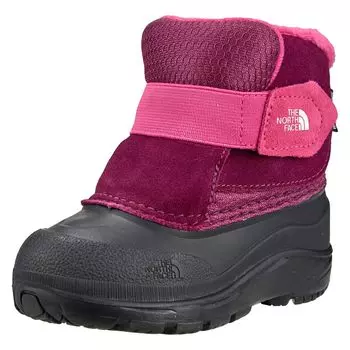 The North Face T Alpenglow II Size 15 Boysenberry/TNF Black,
