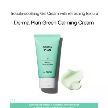 The Saem Derma Plan Green Calming Cream 70ml