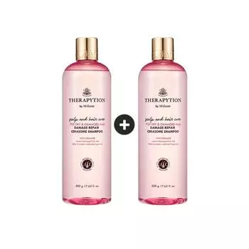 Therapy Damaged Hair Mildly Acidic Cerasome Perfume Protein Shampoo 500ml, pump, 2 pcs.