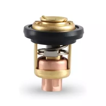 Thermostat for Yamaha 6E5-12411