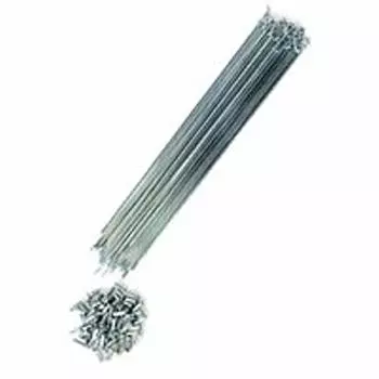 Through spoke 275mm 36 pieces CP with nipple #14