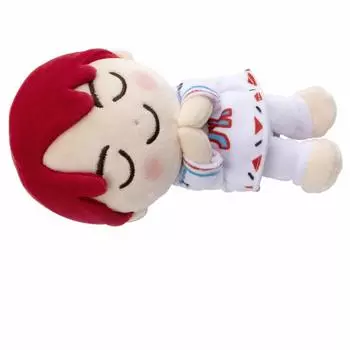 TinyTAN Suyasuya Friend Мягкая игрушка S Jung Kook Ширина приблизительно. 20см