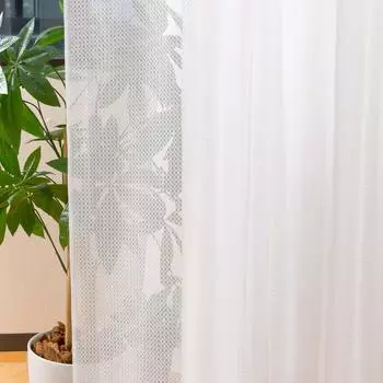 типы в кружевной пыльце УФ ширина 100 см x длина 98 см [всего 8] занавес, фиксатор, защита, моющийся, белый, белый