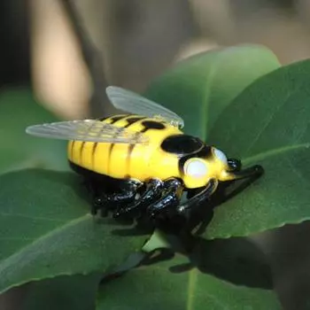 Тизер, интерактивная Цикада, авто насекомое, игрушки для кошек, мини-игрушки для домашних животных, ходячие насекомые, 1 шт., новая имитация жука, милые электрические ювелирные аксессуары Know