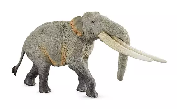 TNG Little Elephant Yellow River Elephant HUANGHE FLUMEN STEGODON Stegodontidae Paleontology Animal Figure PVC Model Plastic Model Toy Premium 18cm
