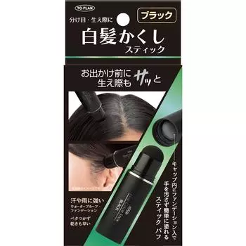 To Plan Tokyo Planning And Sales To Plan Gray Hair Concealer Stick Black 4g