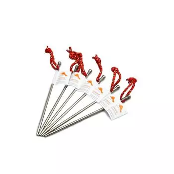 TOAKS titanium tent pegs 6 pieces