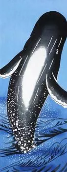 Todaya Shoten Tenugui Whale 345 Nashien-zome