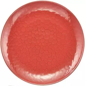 TOKI1919 Камакура KAMAKURA 250 Тарелка для пасты Тарелка для карри Тарелка для кафе Обеденная тарелка Диаметр 25 см Французская тарелка Посуда Спецификации для отеля и ресторана красный