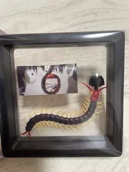 TOKYO GHOUL EX Выставка Официальная MD Centipede Earplug One Side Limited JAPAN Animation New