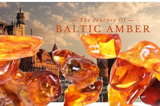 TOKYO SCIENCE Янтарь Янтарь Янтарь Балтийского моря Примерно 25 мм Балтийское море Примерно 30 миллионов лет Оригинальный футляр для образца включен Натуральный янтарь