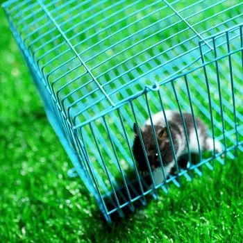 Толстая подушка для перевозки белок и домашних животных – полукруглая клетка для хомяков, кроликов и кур. 22*18*16.5cm розовый