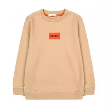 Толстовка Hazzys Kids Wappen Huf12tm06m Bg 100