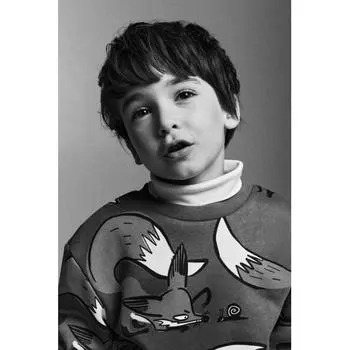 Толстовка HM синяя лиса