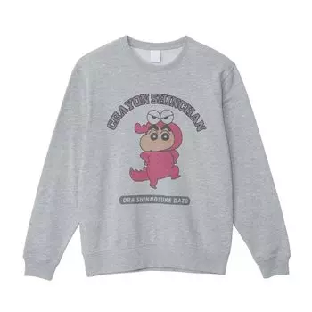 Толстовка KY3636 серая размер L [Small Planet] серый