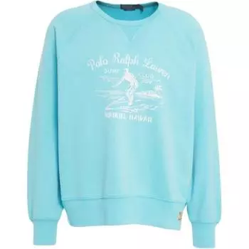 Толстовка мужская Polo Ralph Lauren с логотипом, с круглым вырезом, с длинным рукавом, синяя 710966456-BLUE M