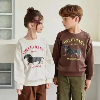 Толстовка Olivan Archhive 2 цвета Braun/110