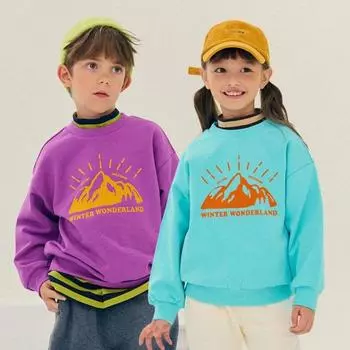 Толстовка Olivan Mountain Brushed, 2 цвета purple/110