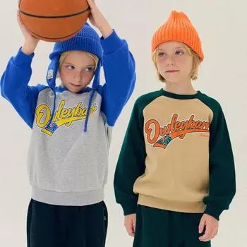 Толстовка Olivan Raglan Brushed, 2 цвета painted/130