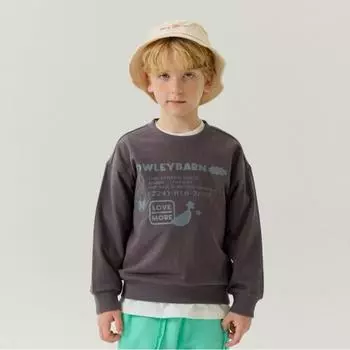 Толстовка Olivan Unique Basic 3 цвета Blue/110