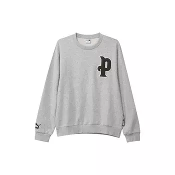 Толстовка Puma Logo Graphic Crew Neck Мужские топы Серый 534383-04 XXL