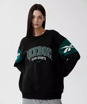 Толстовка REEBOK Twin Vector черная